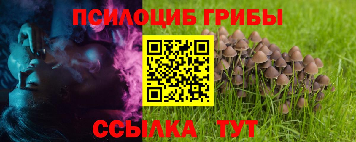 Галлюциногенные грибы GOLDEN TEACHER  что такое наркотик  Вход с VPN  Амурск  Псилоцибиновые грибы ЛСД 